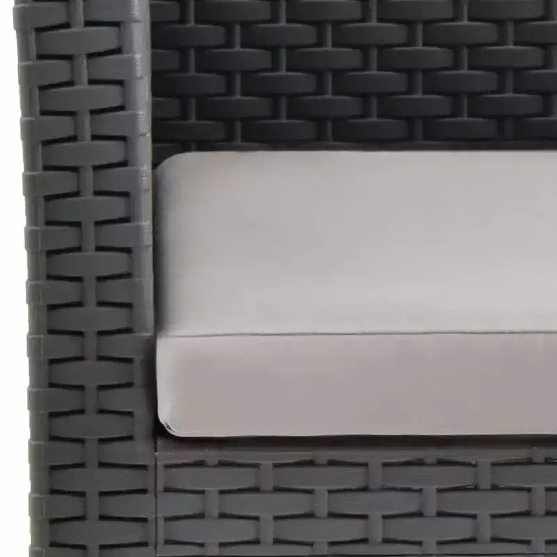 vidaXL Ensemble de 2 fauteuils de jardin avec coussins en résine tressée anthracite