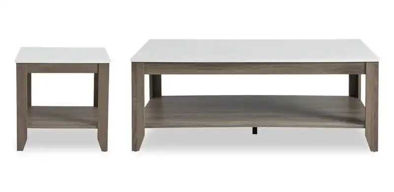 Tables basses et d'appoint avec étagère Carlton 47,5 modernes, lot de 2