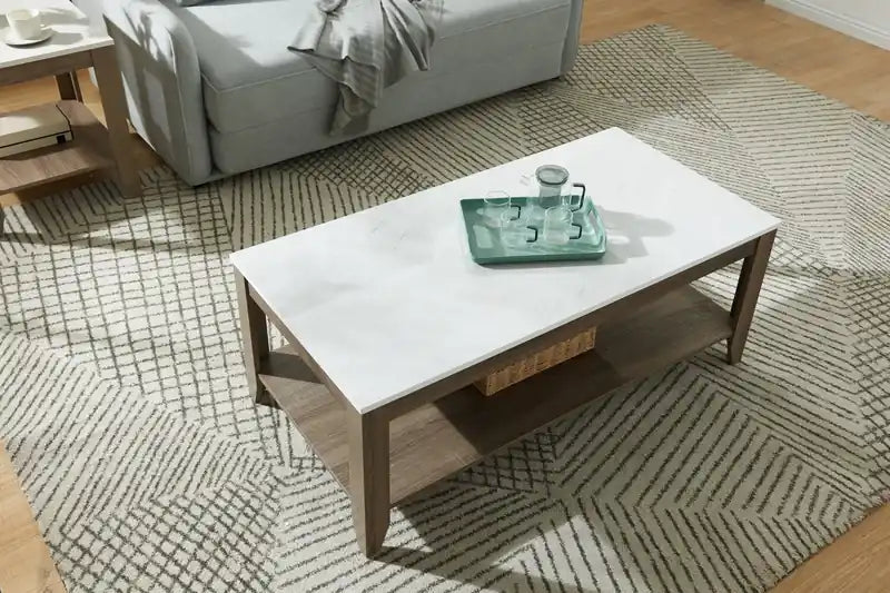 Tables basses et d'appoint avec étagère Carlton 47,5 modernes, lot de 2