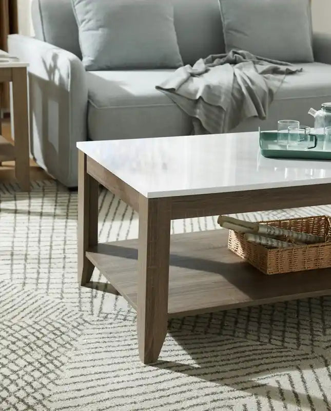 Tables basses et d'appoint avec étagère Carlton 47,5 modernes, lot de 2
