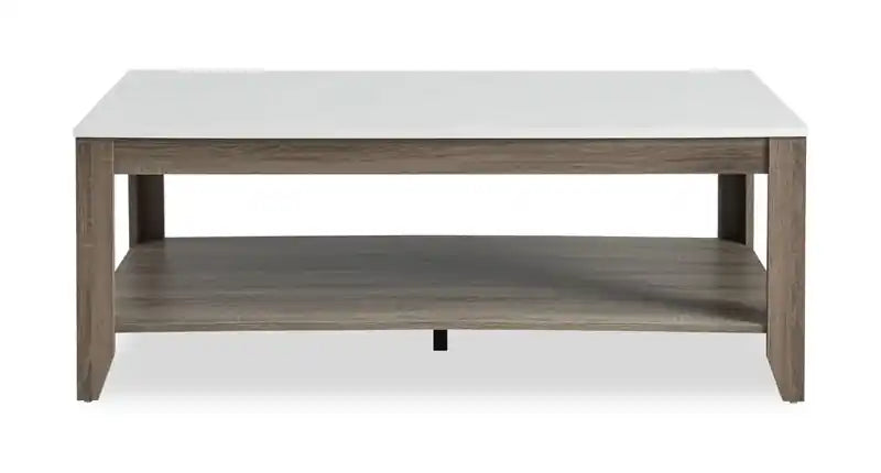Tables basses et d'appoint avec étagère Carlton 47,5 modernes, lot de 2